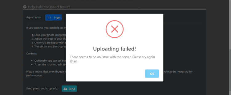 Task failed successfully